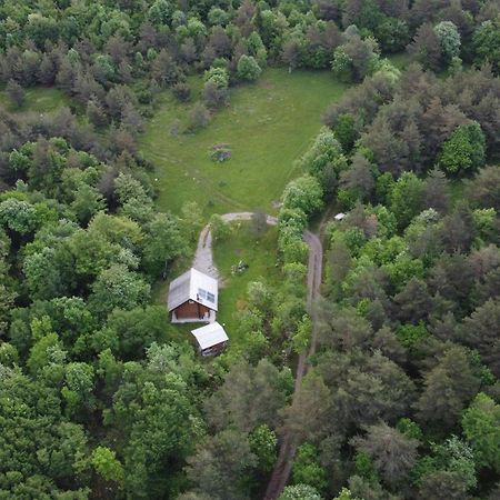 Podklanci-House In The Forest Knezak 외부 사진